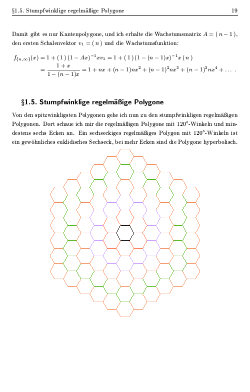 Seite 19 der Diplomarbeit