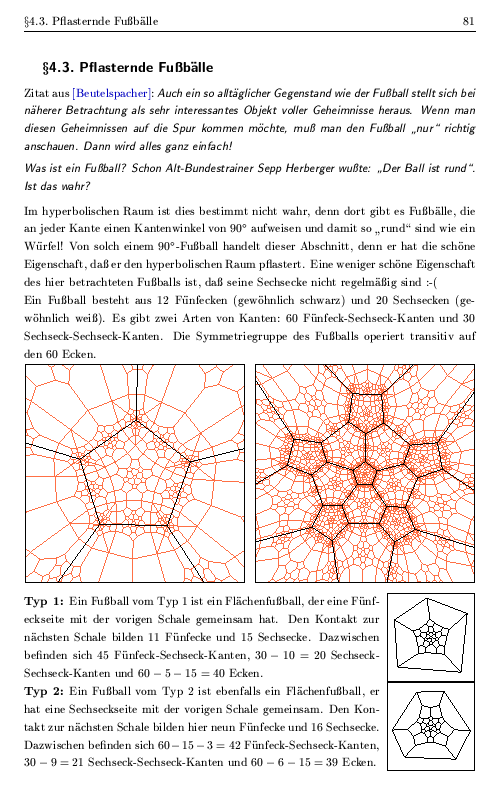 Seite 81 der Diplomarbeit