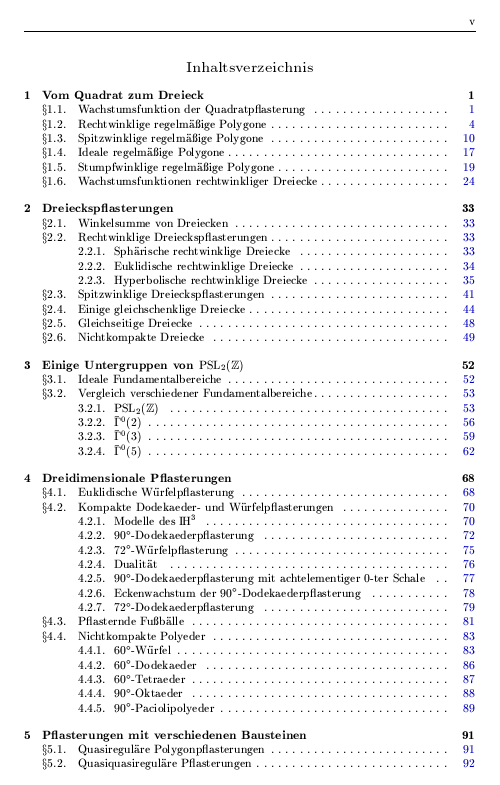 Seite v der Diplomarbeit